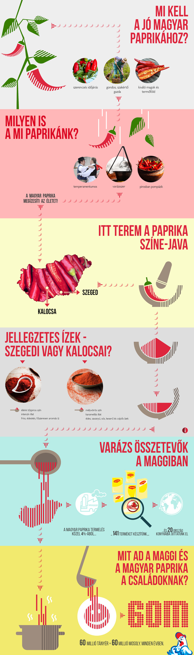 Magyar paprika Maggi infografika 201607