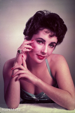 Liz Taylor