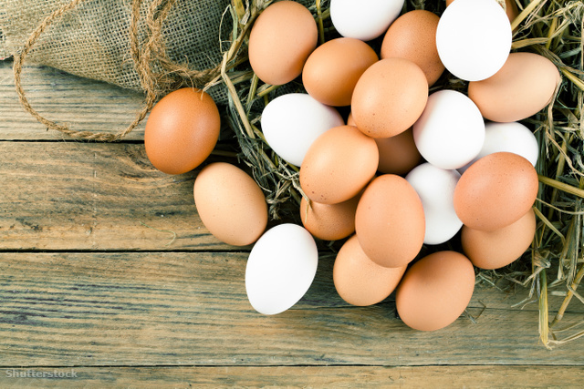 A teszt során a világos tojások lassabban készültek el