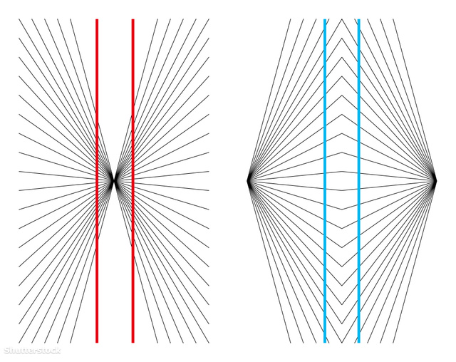 A görbülő piros és kék vonalak valójában mind párhuzamosak. A Hering–Wundt-illúzió magyarázatára több elmélet is született.