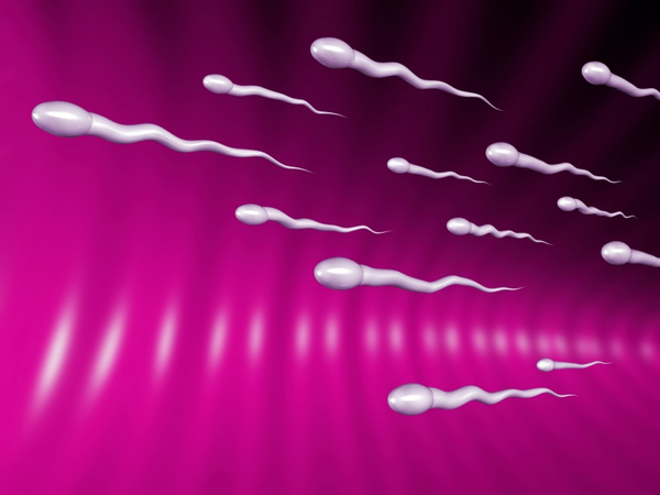 stockfresh id475813 sperms sizeS