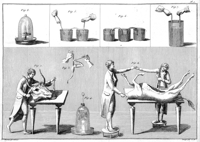 Giovanni Aldini kísérleteinek ábrázolása