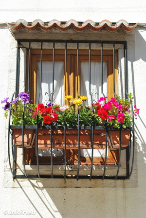 stockfresh 728593 typical-window-balcony-with-flowers-in-lisbon