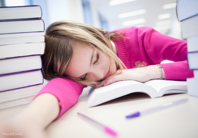stockfresh 1463616 in-the-library---very-tiredexhausted-pretty-f