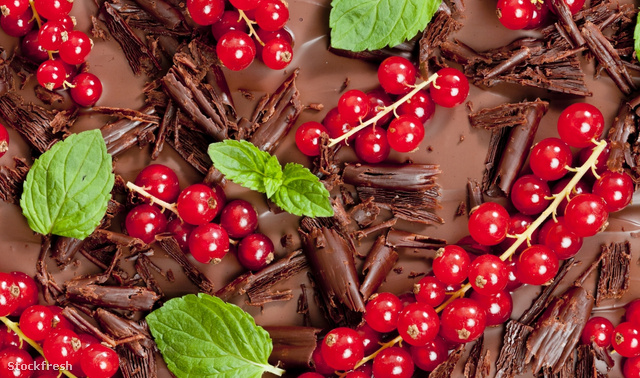 stockfresh 1272191 red-currant-and-mint-with-chocolate sizeM