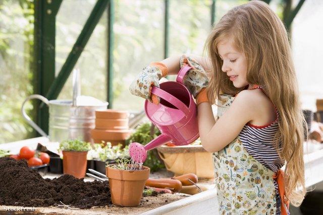 stockfresh 85292 young-girl-in-greenhouse-watering-potted-plant-