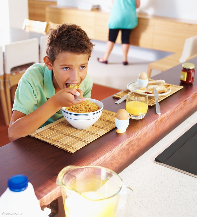 stockfresh 50088 happy-boy-enjoying-a-bowl-of-cereals-for-breakf