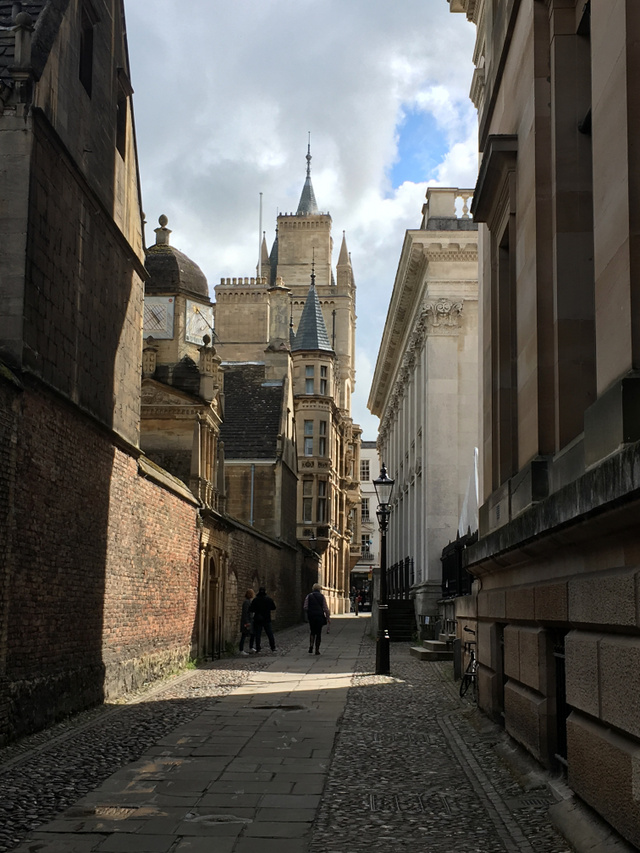 A Senate House Passage, balra a háttérben a Gonville and Caius college tornya, előtte a Gate of Honour kapuval. Jobbra hátul a fehér Senate House látszik, elöl pedig a Gonville and Caius könyvtárának épülete.