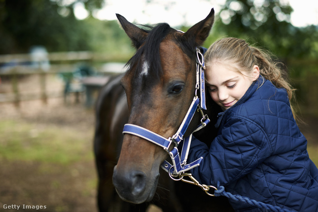 A lányok érzelmileg viszonyulnak a lovakhoz is