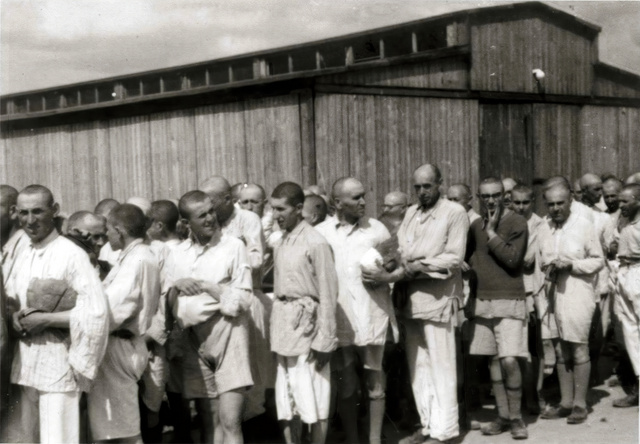 Az auschwitz-birkenau-i koncentrációs tábor férfi rabjai leborotvált fejjel
