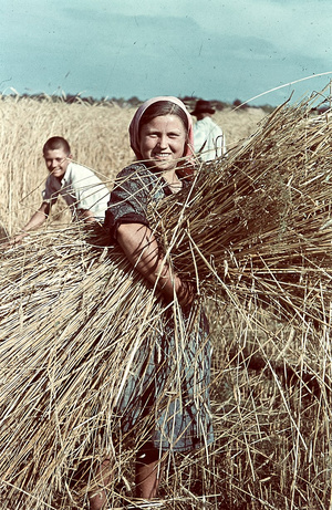 Kévét kötő nő Magyarországon 1938-ban