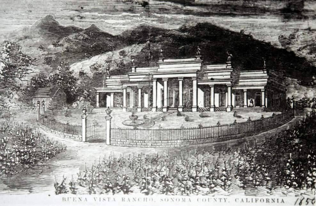 A Buena Vista szőlészet 1850-ben