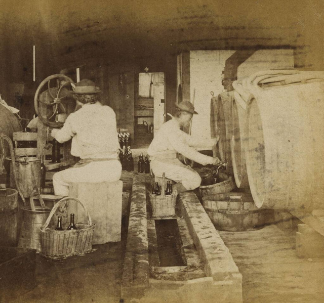 Borkészítés a Buena Vista szőlészetben az 1870-es években