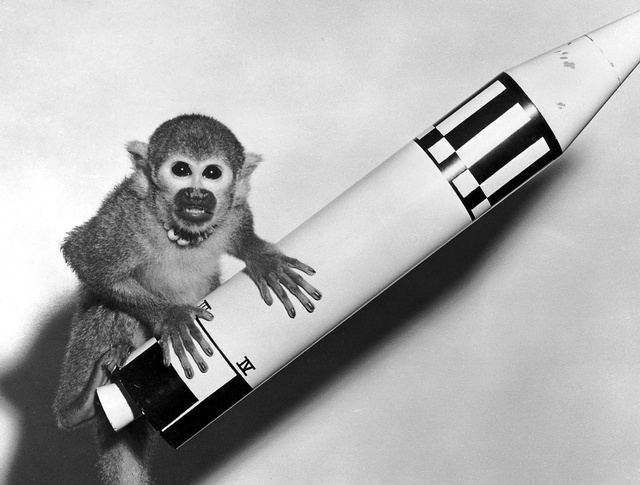 Baker, a mókusmajom, aki sikeresen túlélte az űrrepülést