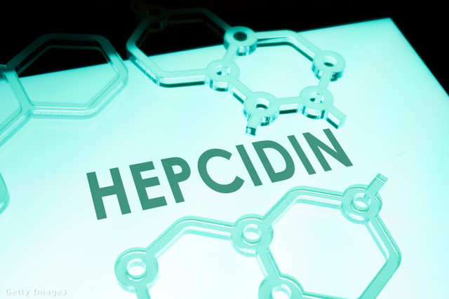 A hepcidin nevű hormon szabályozza a vas felszívódását