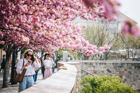 10+1 best things to do in Budapest in April