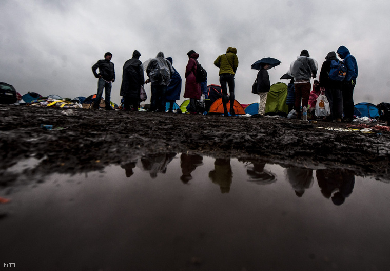 Menekültek Röszke melletti gyűjtőponton a magyar-szerb határ közelében 2015. szeptember 10-én.