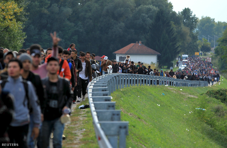 Menekültek gyalogolnak a magyar határ felé a horvátországi Botovóból, október 6-án