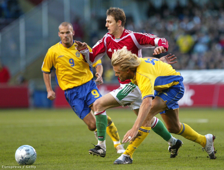 Svédország - Magyarország labdarúgó eb-selejtező mérkőzés 2009. október 9-én Stockholmban.