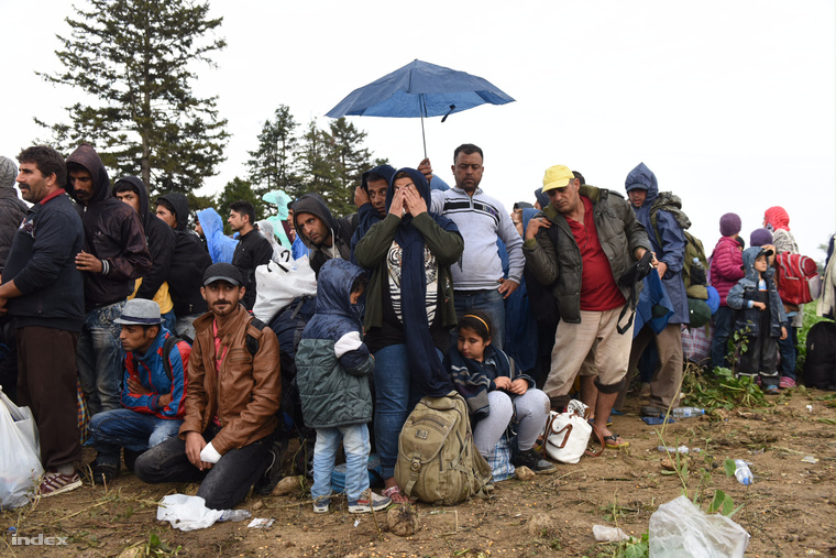 Menekültek a horvát-magyar határon szeptember 24-én