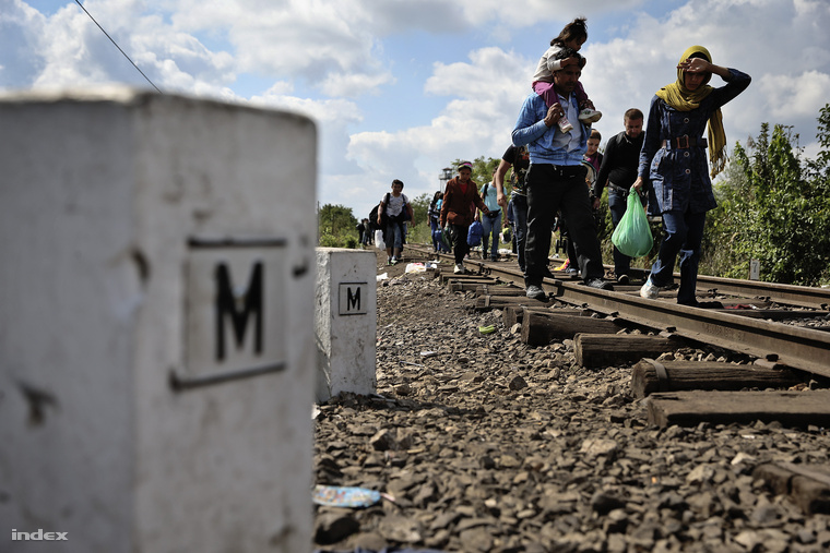 Menekültek a szerb-magyar határon szeptember 12-én