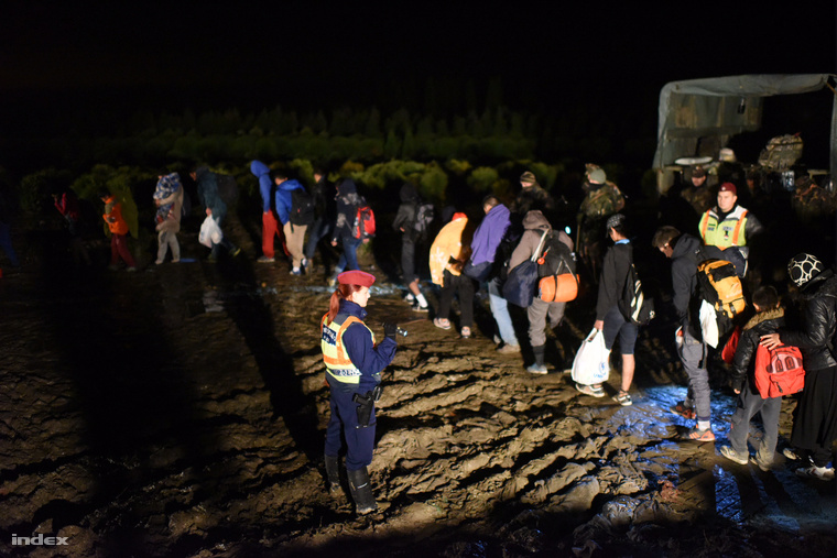 Menekültek érkeznek Horvátországból Zákánynál a zöldhatáron, 2015. október 16-án. Éjfél előtt megérkezett az utolsó, menekültekkel teli vagon a magyar határhoz, aminek az utasait még átengedték a határzár előtt.