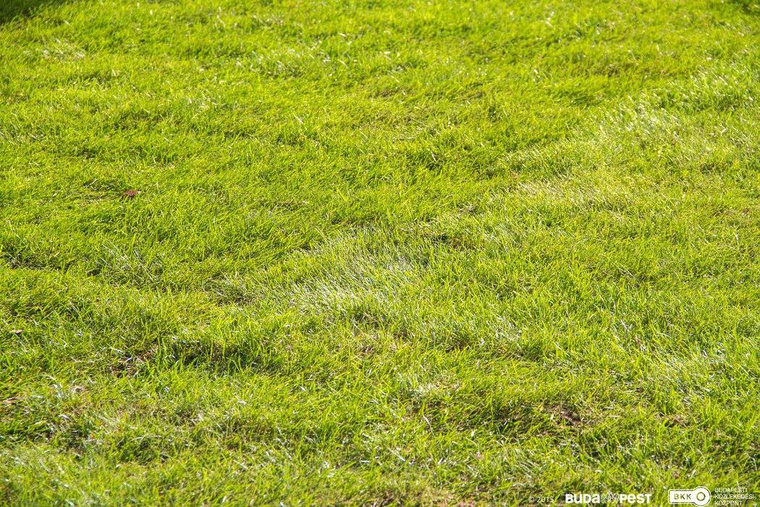 10712398 950455145012974 6017474783334841910 o