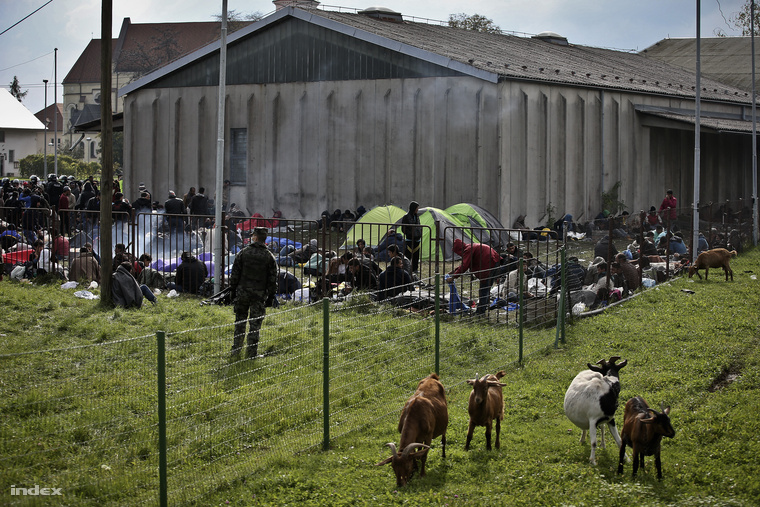 Így nézett ki a dobovai menekülttábor október 22-én. A táborban most nagyjából egy tucat menekült várakozott, és nem lehetett megközelíteni a rendőri kordonok miatt.