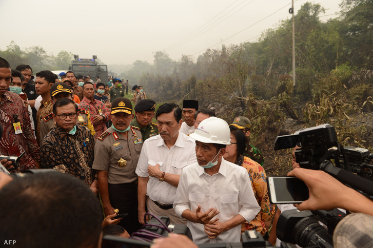 Joko Widodo indonéz elnök és Luhut Pandjaitan biztonsági koordinációs miniszter ellenőriznek egy oltási műveletet egy égő tőzegföldön Borneó szigetén, Kalimantan tartományban 2015. szeptember 24-én.