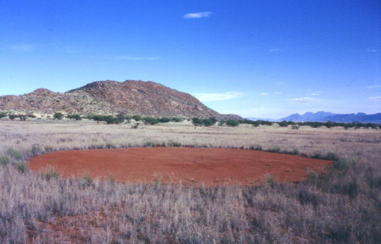 Feenkreis Marienflusstal Namibia