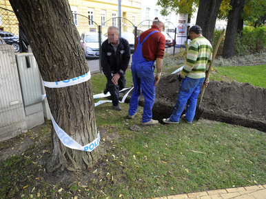 Emberi csontokat találtak a budapesti Hunyadi téren
