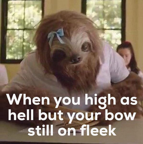 Stonersloth CAA6C580-A769-11E5-886506D2A7336F53