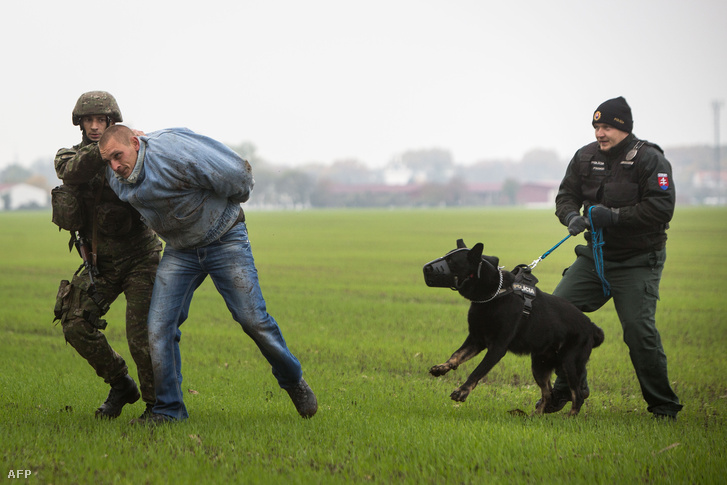 Menekültelfogási gyakorlatot tartanak szlovák rendőrök és katonák 2015. októberében.