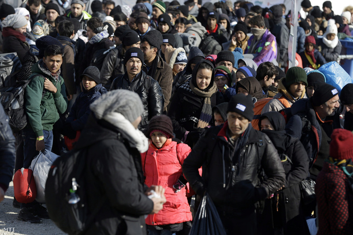 Macedóniába igyekvő bevándorlók várakoznak a macedón-görög határon az észak-görögországi Idomeniben.