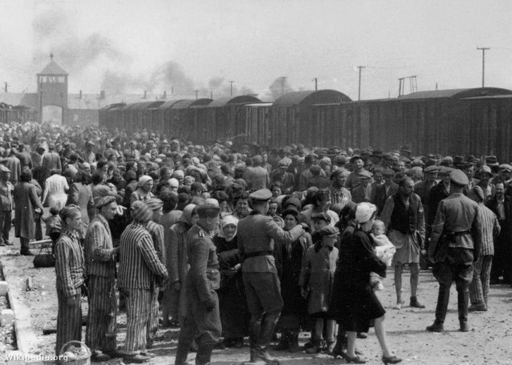 Magyarországról deportált zsidók Auscwitzban megérkezésük után