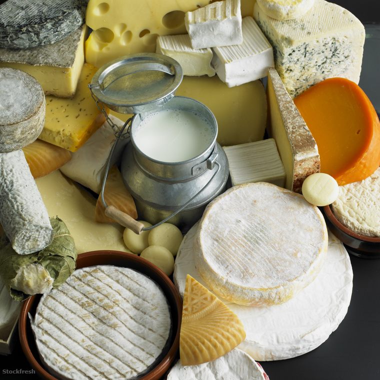 stockfresh 548964 cheese-still-life-with-milk sizeM