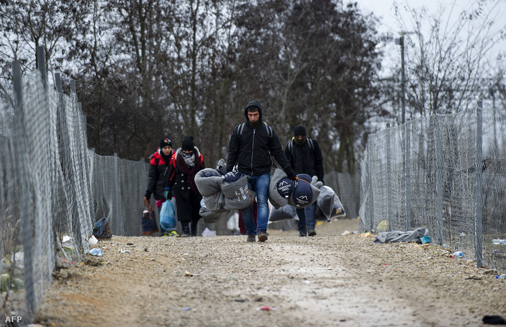 Érkező menekültek a macedón-szerb határnál