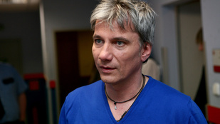 Bochkor Gábor szerint az elhízott nőknek nem jár párkapcsolat