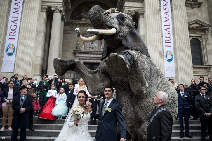 Merrylu Casselly német artista és ifjabb Richer József a Magyar Nemzeti Cirkusz igazgatója, esküvőjük után, a Mambó nevű elefánttal fotózkodnak a Szent István-bazilika előtt.