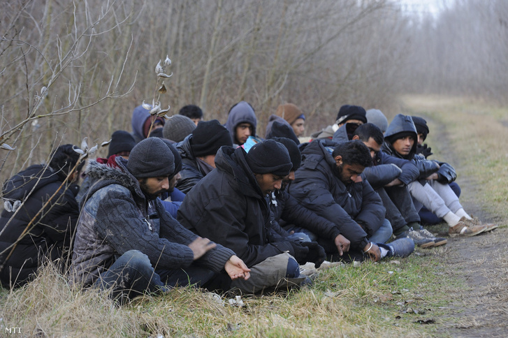 Elfogott menekültek Röszkénél 2016. február 9-én