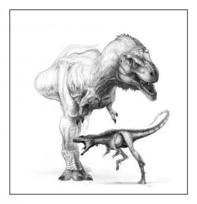 A T-rex és a Raptorex. Forrás: Todd Marshall