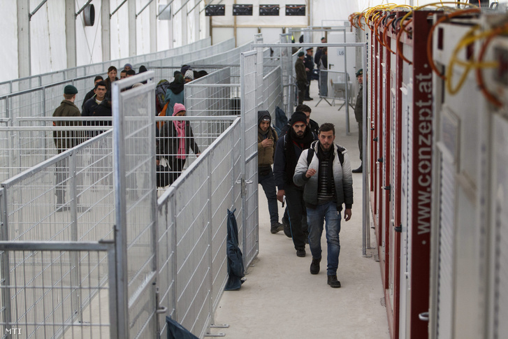 Migránsok az osztrák- szlovén határ ausztriai oldalán a Spielfeldben kialakított a migránsokat irányító határõrizeti rendszer sátrában 2016. február 8-án.
