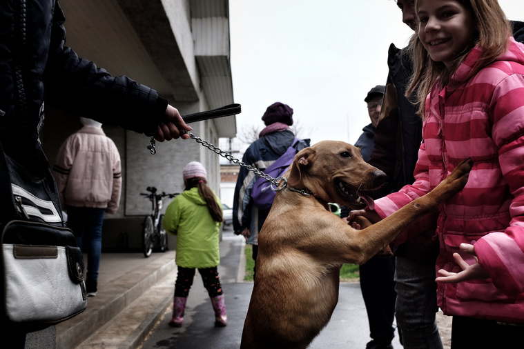 Az emberi lustaság miatt bukhatnak egy csomó pénzt a jótékony szervezetek
