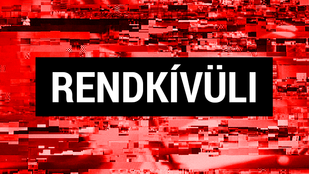 Meggyilkolták a Népligetnél eltűnt 20 éves lányt