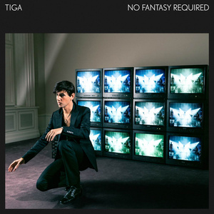 tiga no fantasy required-portada