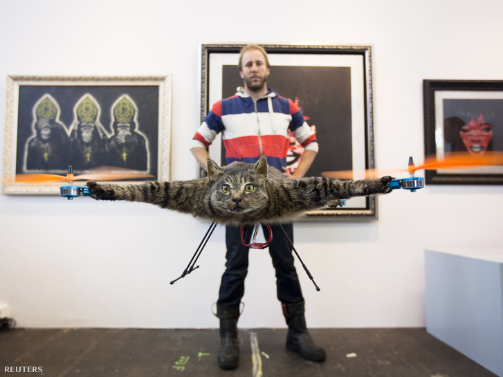the-dutch-artist-who-turned-his-dead-cat-into-a-drone-is-keeping