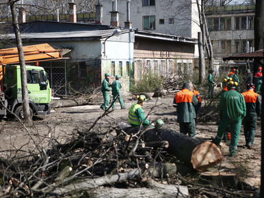Aktivisták akadályozták meg a fakivágást a Városligetben