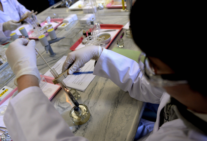 Diákok egy Általános Iskola új Öveges természettudományos laboratóriumában 2014. február 12-én