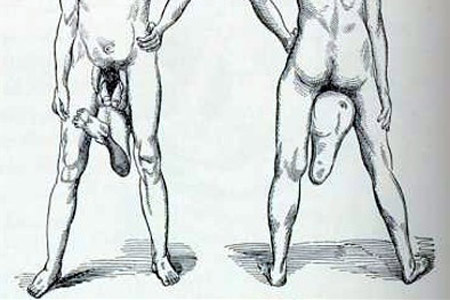 A férfi nemi szervek péniszének méretei - Férfi nemi szervek