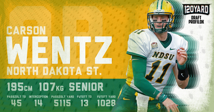 120Y Draftprofi WENTZ